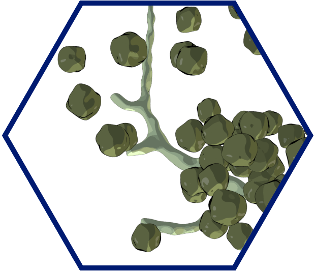 Bile acid buildup